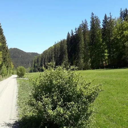 Сasa de vacaciones Oberschledorner Wald Medebach