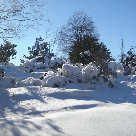 Oberschledorner Wald * Medebach