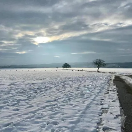 Oberschledorner Wald Сasa de vacaciones Medebach
