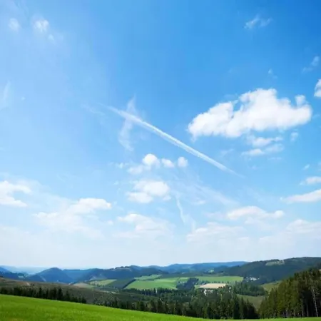 Сasa de vacaciones Oberschledorner Wald *