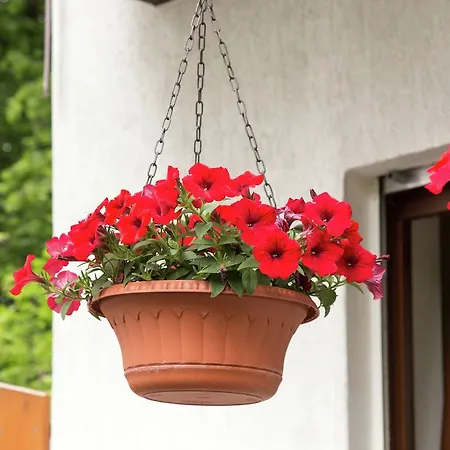 Oberschledorner Wald