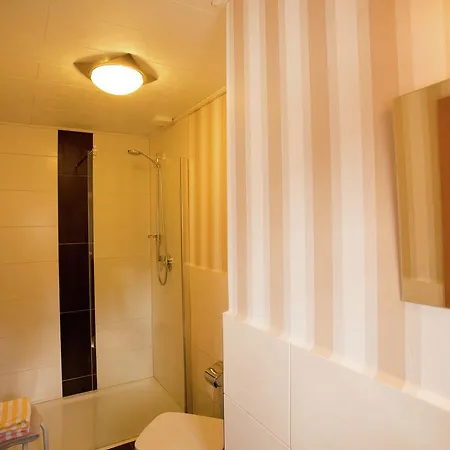 Oberschledorner Wald Medebach