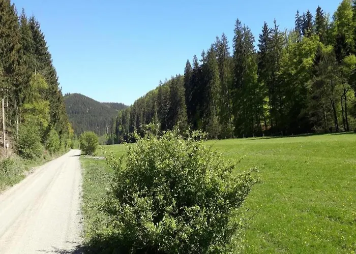 Feriehus Oberschledorner Wald Medebach