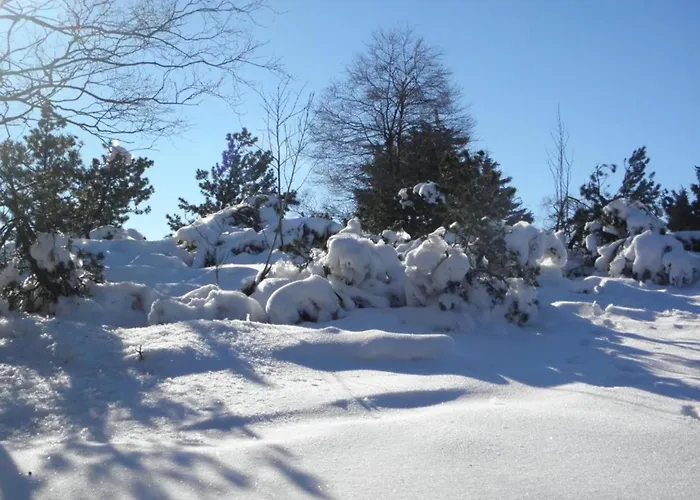 Oberschledorner Wald * Medebach