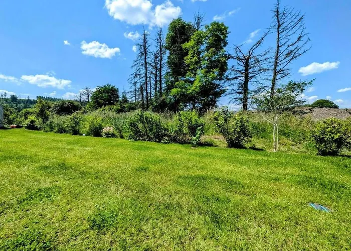 Oberschledorner Wald Medebach