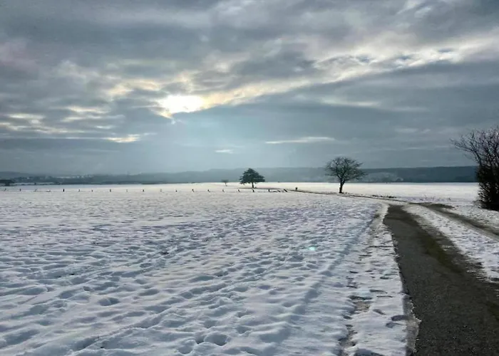 Oberschledorner Wald Feriehus Medebach