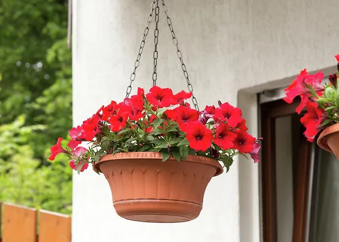 Oberschledorner Wald